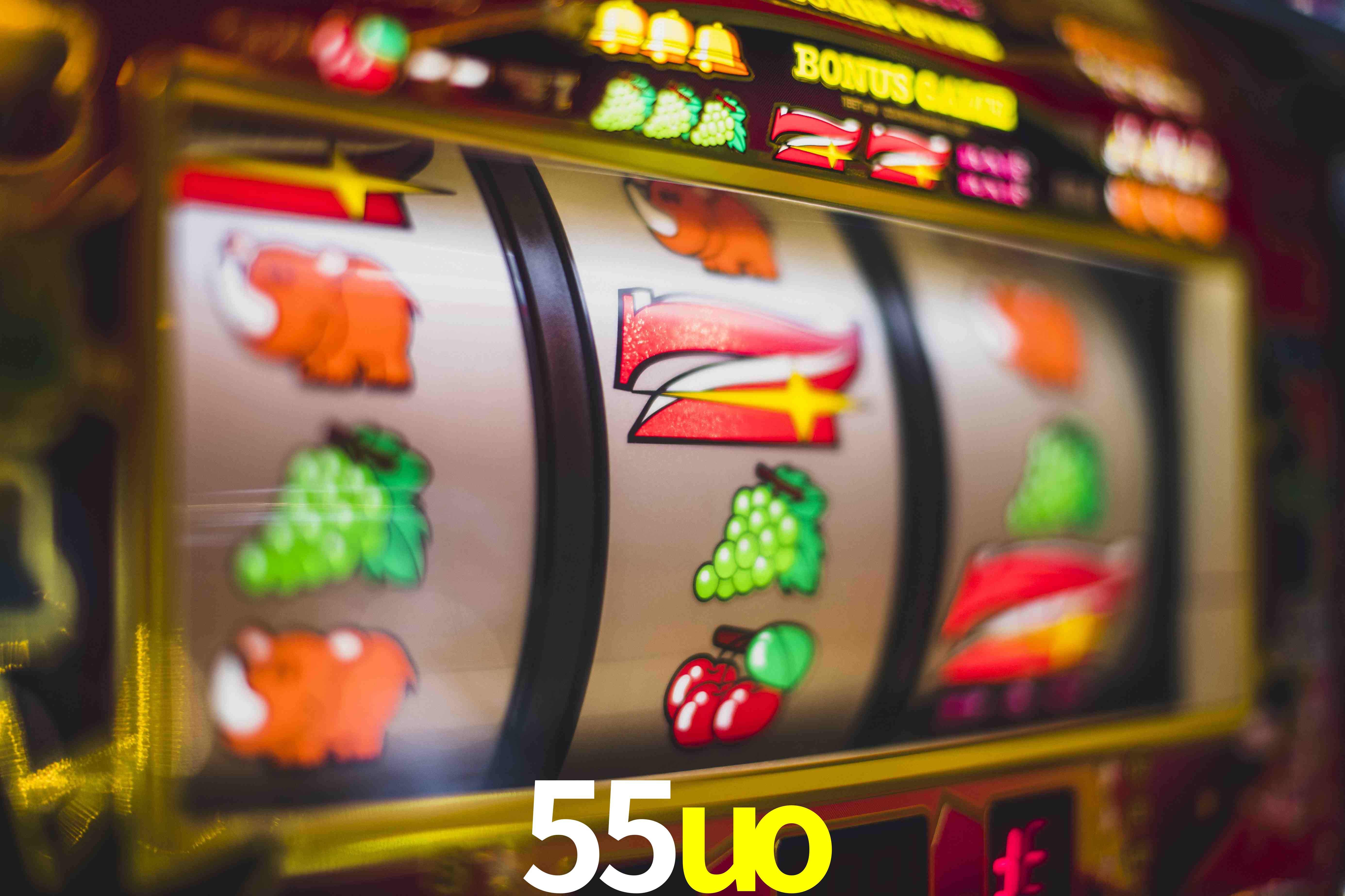 Sports Statistics 55uo